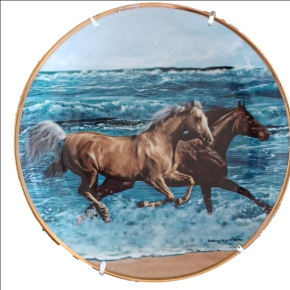 The DANBURY MINT COLLECTION,Surf Runners horse collector plate - Picture 1 of 2